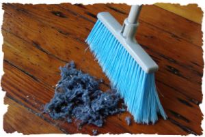 broom floor dust1